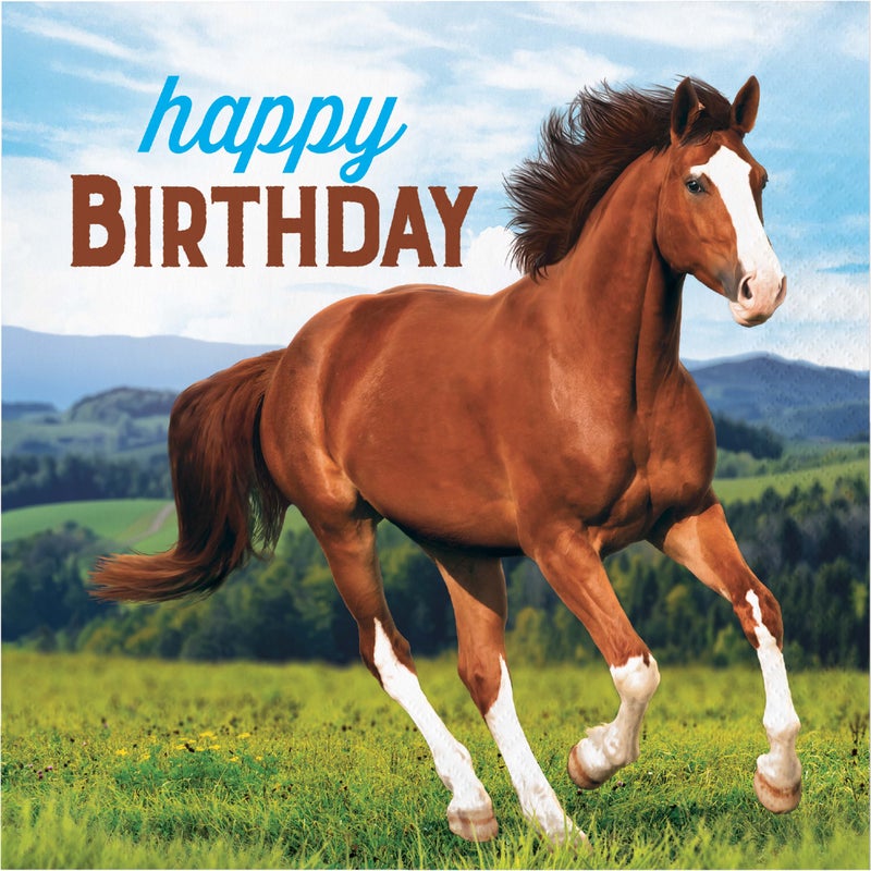 Horse and Pony Happy Birthday Lunch Napkins 16ct