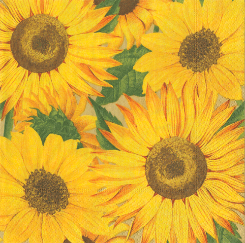 Sunflowers Lunch Napkins 20ct