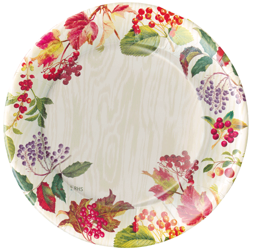 Berry Botanical 10.5in Dinner Plates 8ct