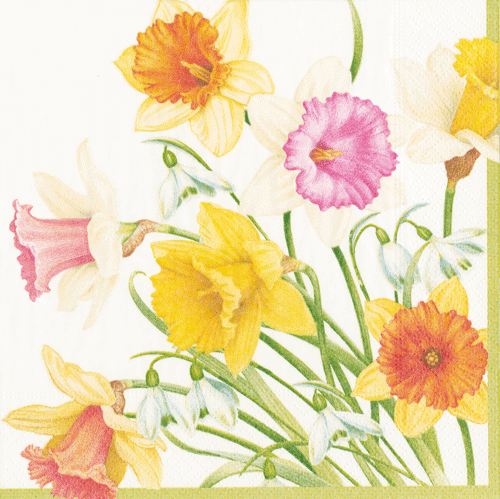 Daffodil Waltz Cocktail Napkins 20ct