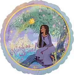 #401 Disney Wish 18in Printed Mylar