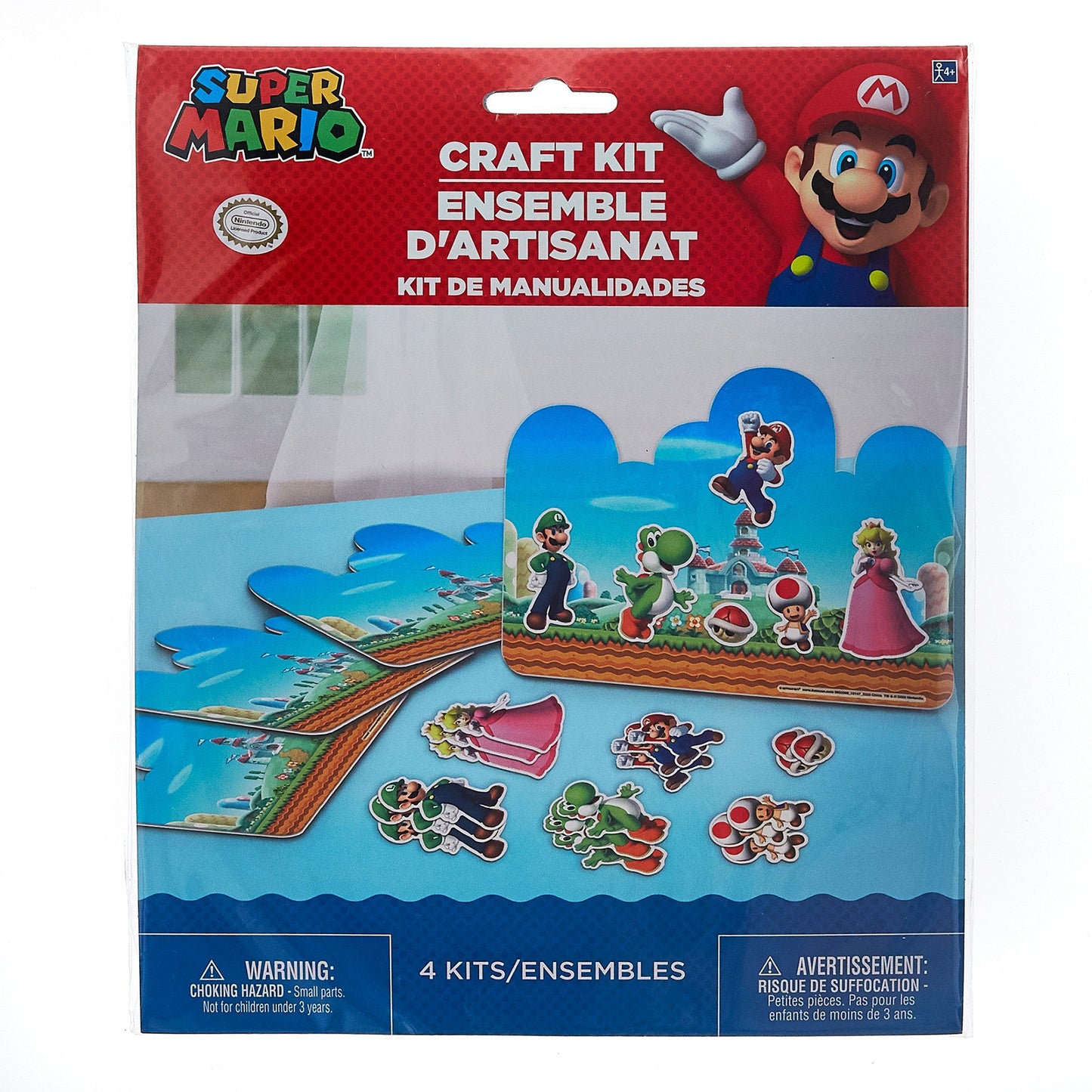 Super Mario Brothers Craft Kit