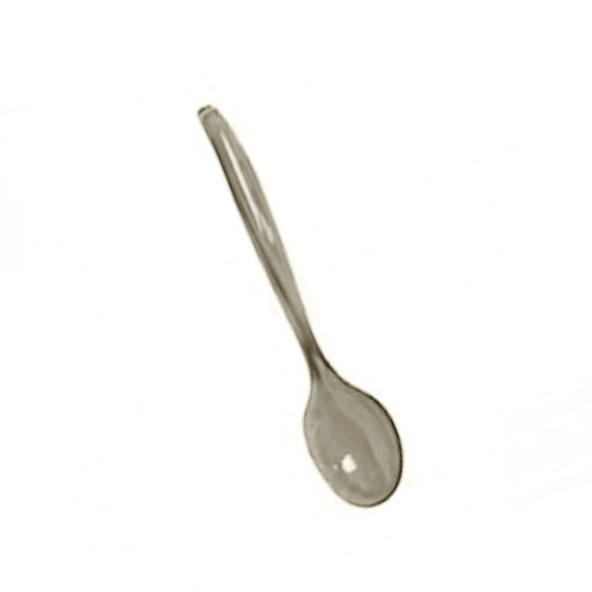 Clear 10in Plastic Serving Spoon